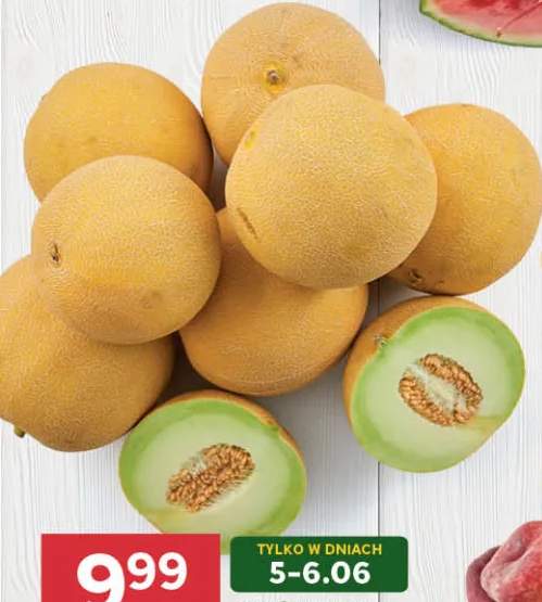 Melon Galia