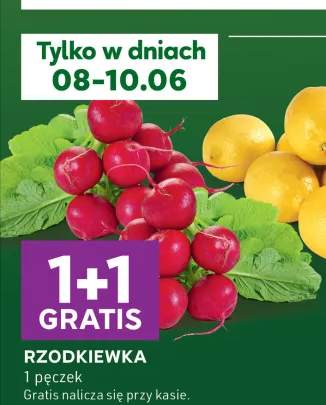 Rzodkiewka