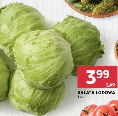 Sałata lodowa