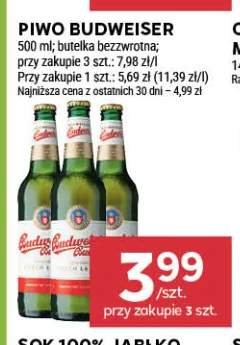 Piwo Budweiser