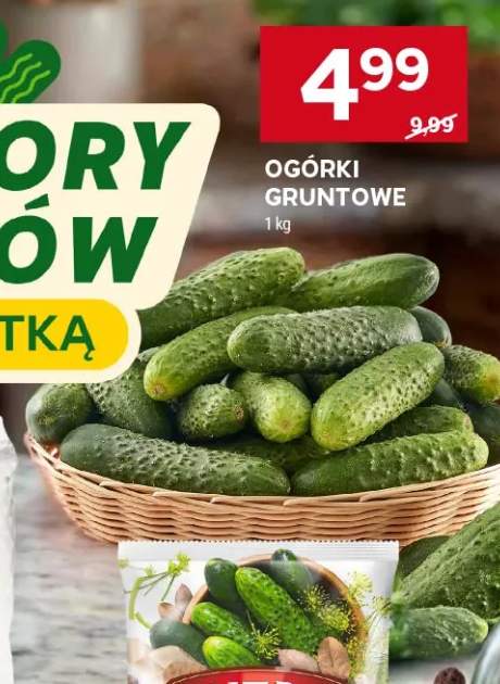 Ogórki gruntowe