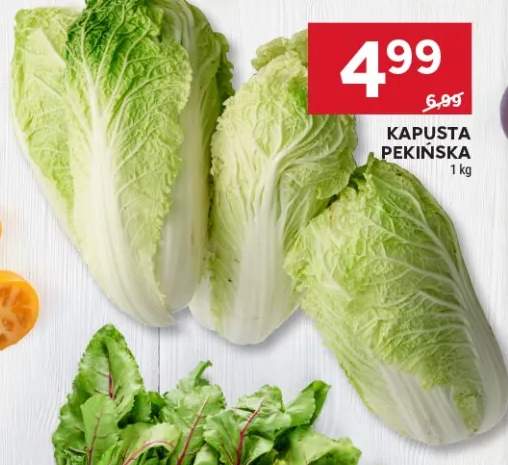 Kapusta pekińska