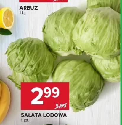 Sałata lodowa