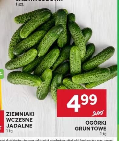 Ogórki gruntowe