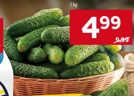Ogórki gruntowe