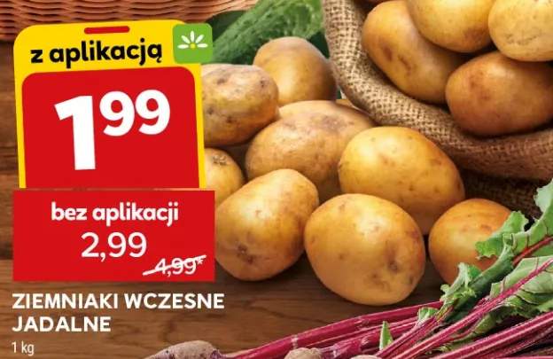Ziemniaki wczesne jadalne