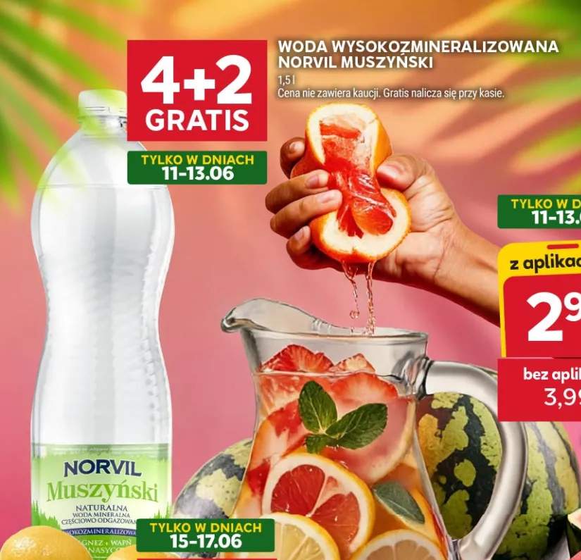 Woda wysokozmineralizowana Norvil Muszyński