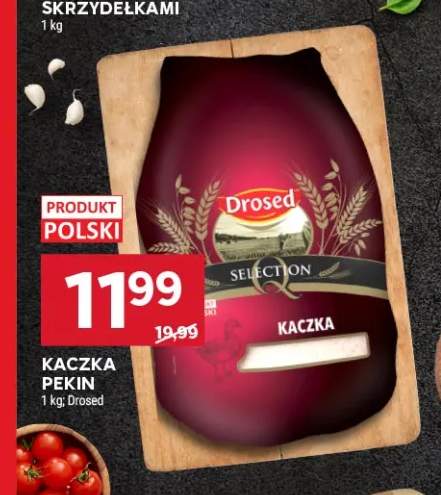 Kaczka Pekin Drosed polska
