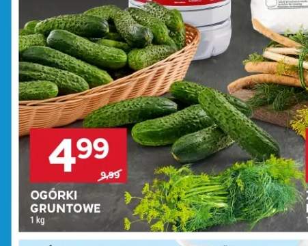 Ogórki gruntowe