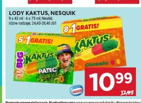 Lody Kaktus Classic 9-pak +2 warianty