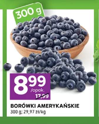 Borówki amerykańskie