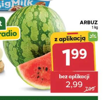 Arbuz