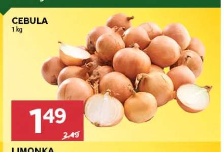 Cebula
