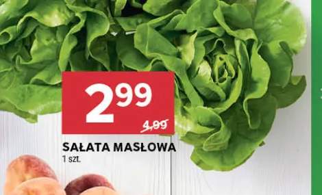 Sałata masłowa