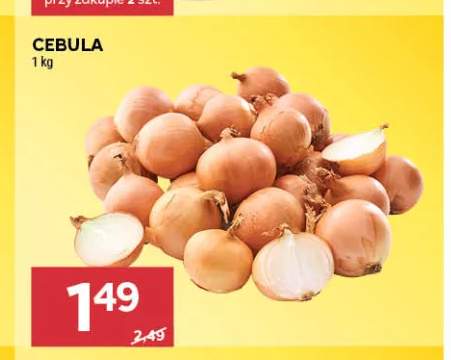 Cebula