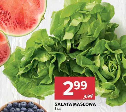 Sałata masłowa