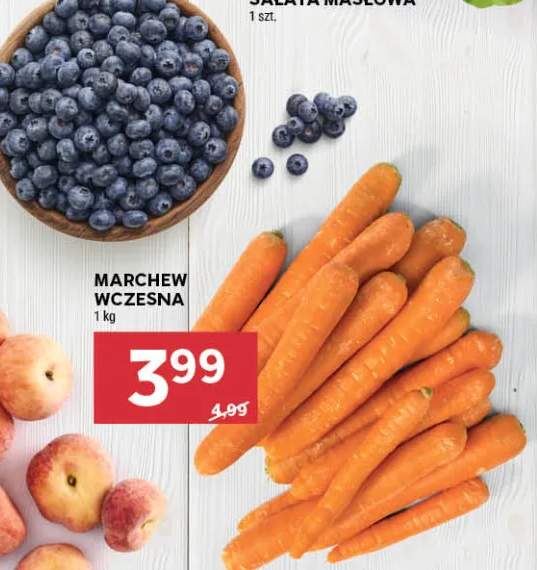 Marchew wczesna
