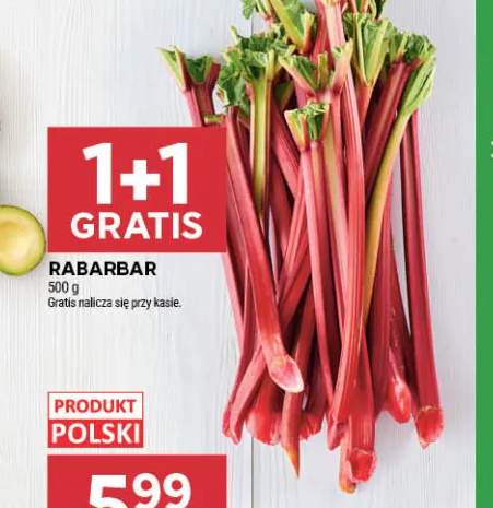 Rabarbar