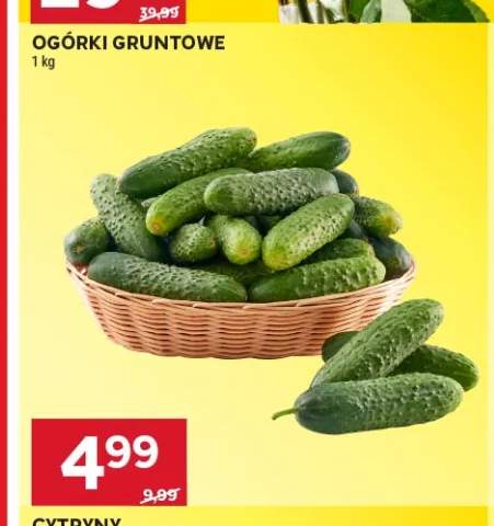 Ogórki gruntowe