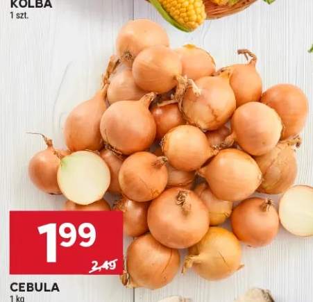 Cebula