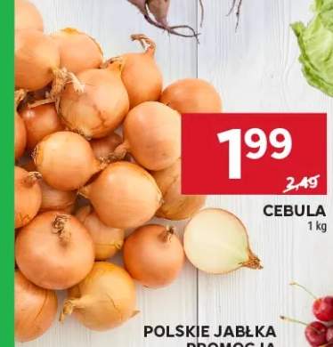 Cebula