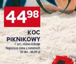 Koc piknikowy