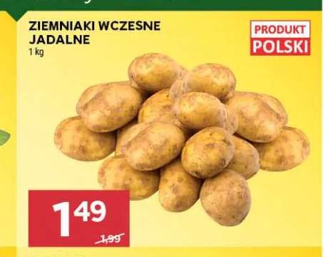 Ziemniaki wczesne jadalne polskie