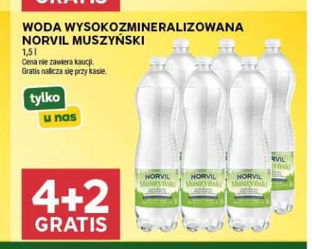 Woda wysokozmineralizowana Norvil Muszyński