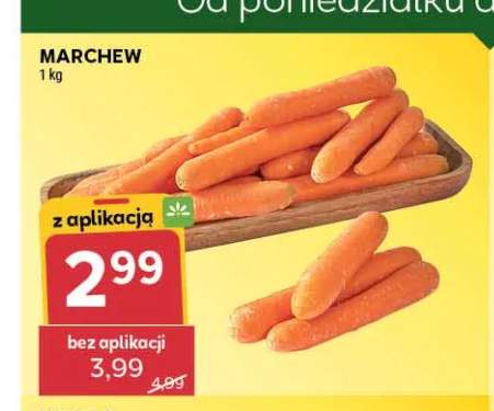Marchew