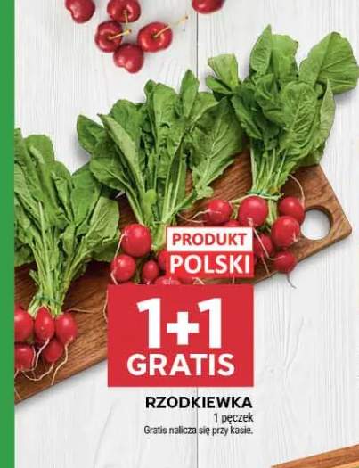 Rzodkiewka polska