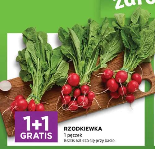 Rzodkiewka