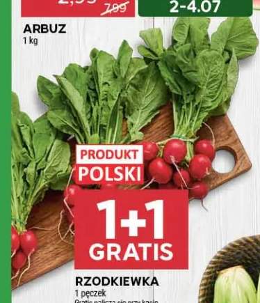 Rzodkiewka