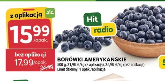 borówka amerykańska