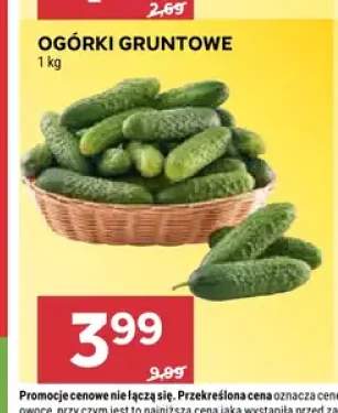 Ogórki gruntowe