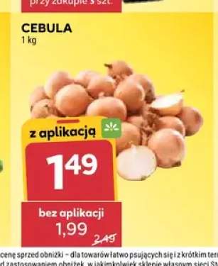 Cebula