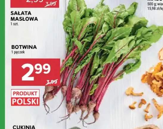 Botwina