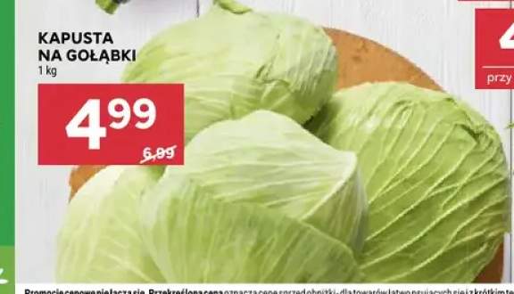 Kapusta na gołąbki