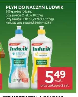 Płyn do naczyń Ludwik aloesowy +1 wariant