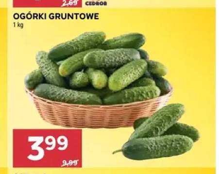 Ogórki gruntowe