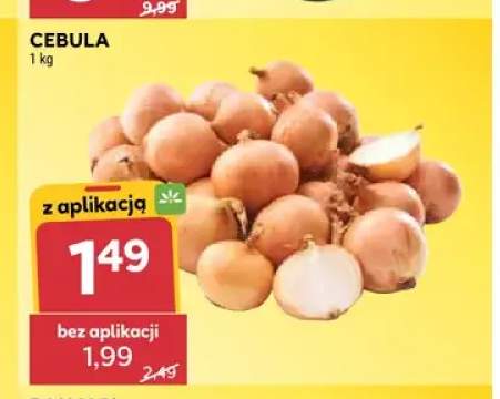 Cebula