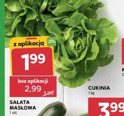 Sałata masłowa