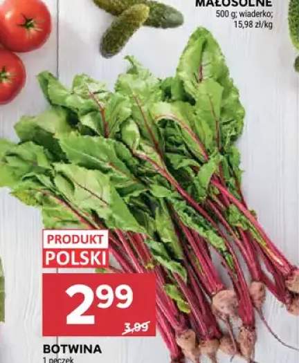 Botwina polska
