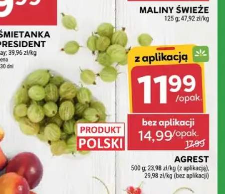 Agrest polski