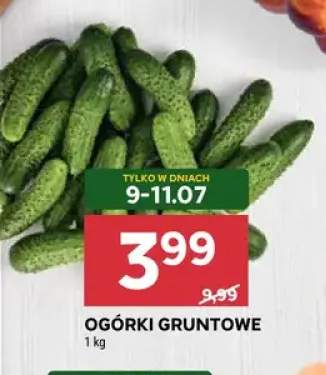Ogórki gruntowe