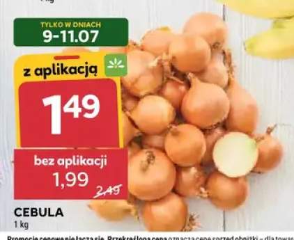 Cebula