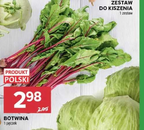 Botwina