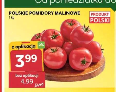 Pomidory malinowe polskie