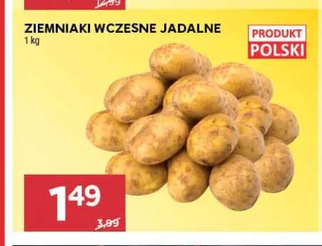 Ziemniaki wczesne jadalne polskie