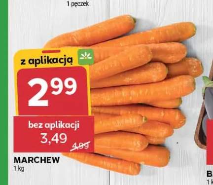 Marchew