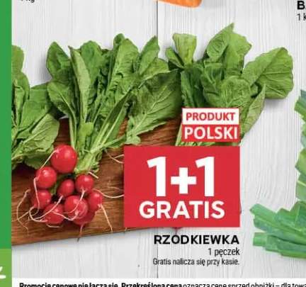 Rzodkiewka polska